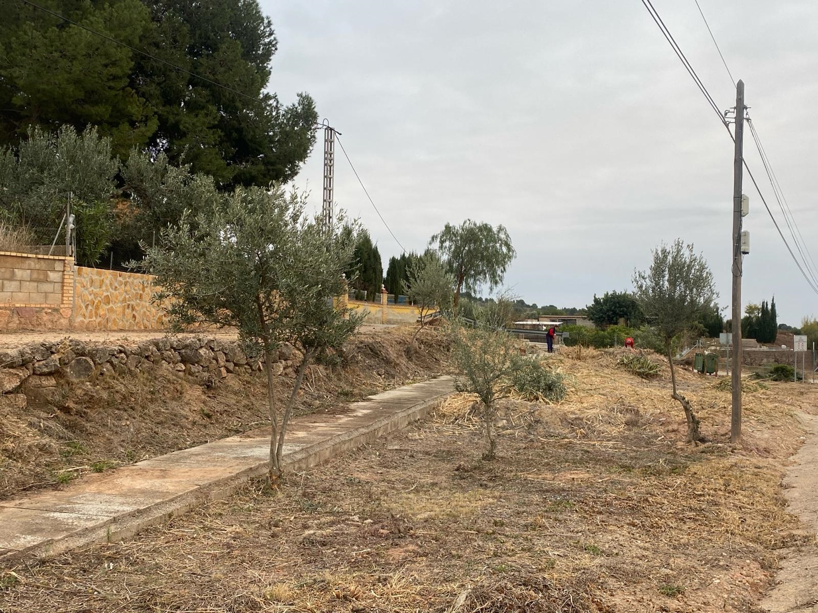 Brigada EMERGE Puntal del Mig Olocau 2