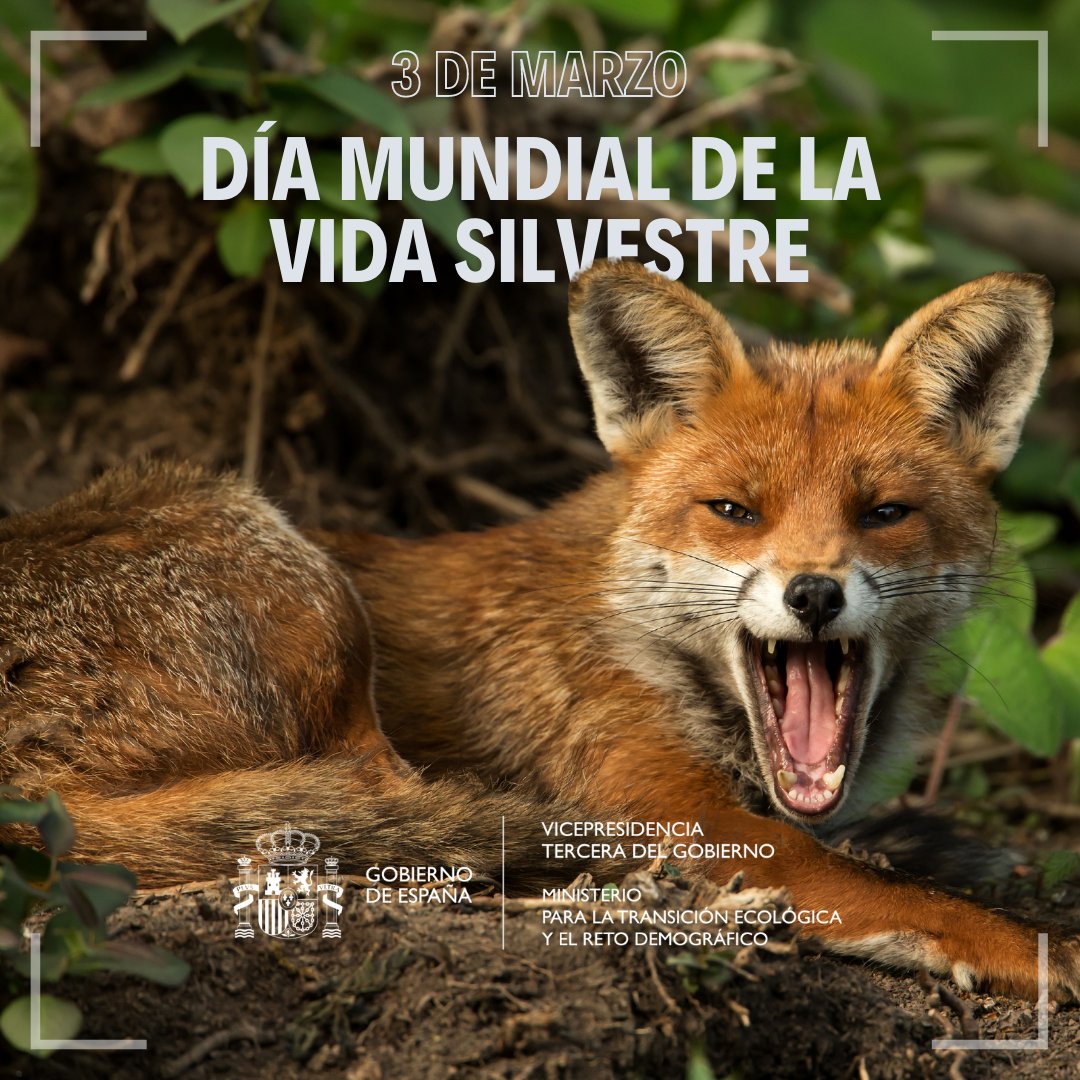 Día Mundial de la Vida Silvestre - 2