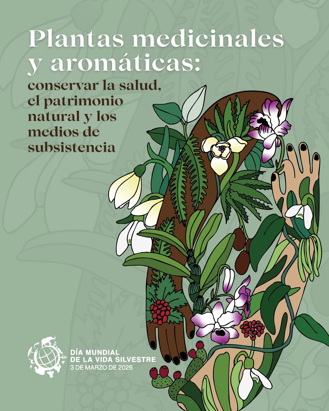 Día Mundial de la Vida Silvestre