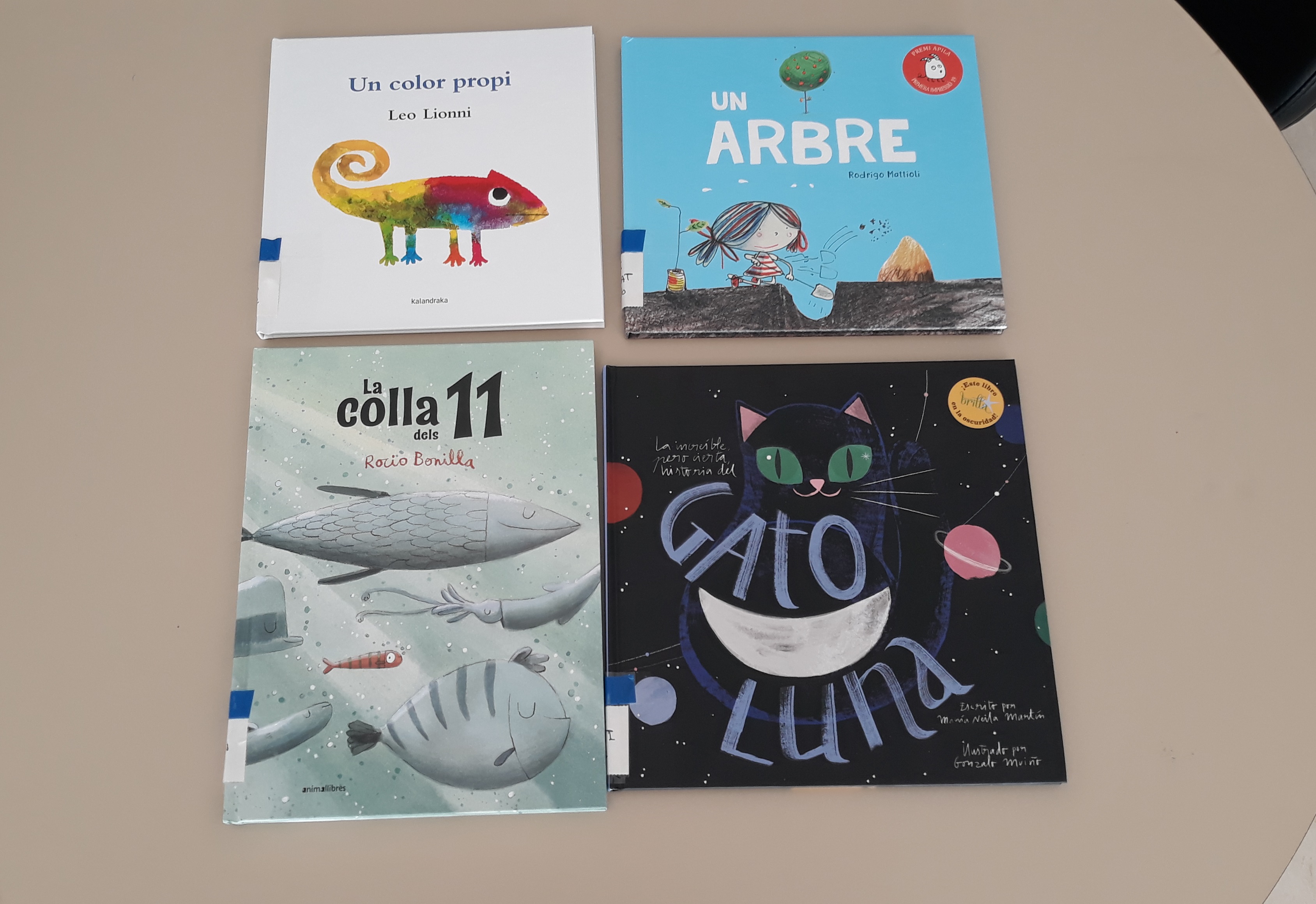 Foto novedades Biblioteca Olocau junio