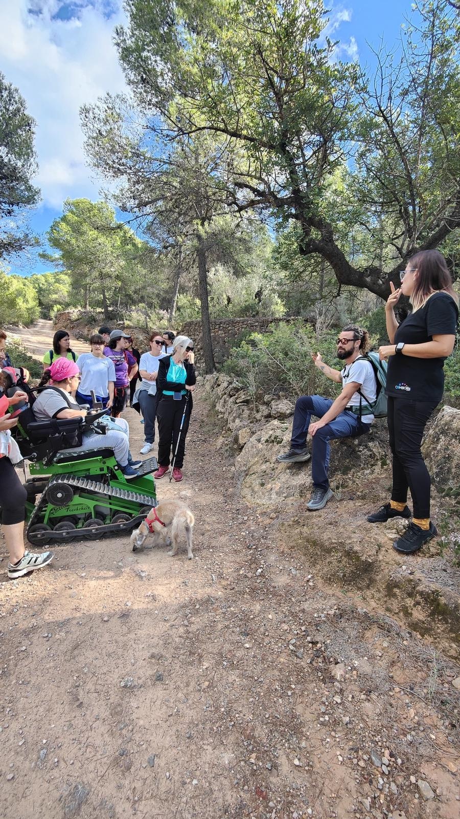 Ruta Universal de Olocau Plantas medicinales de la Sierra Calderona 2025 2
