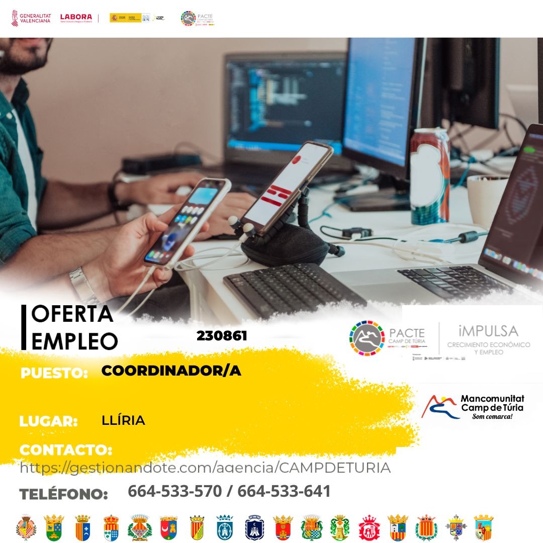 Oferta de empleo - Coordinador-a en Ll&iacute;ria
