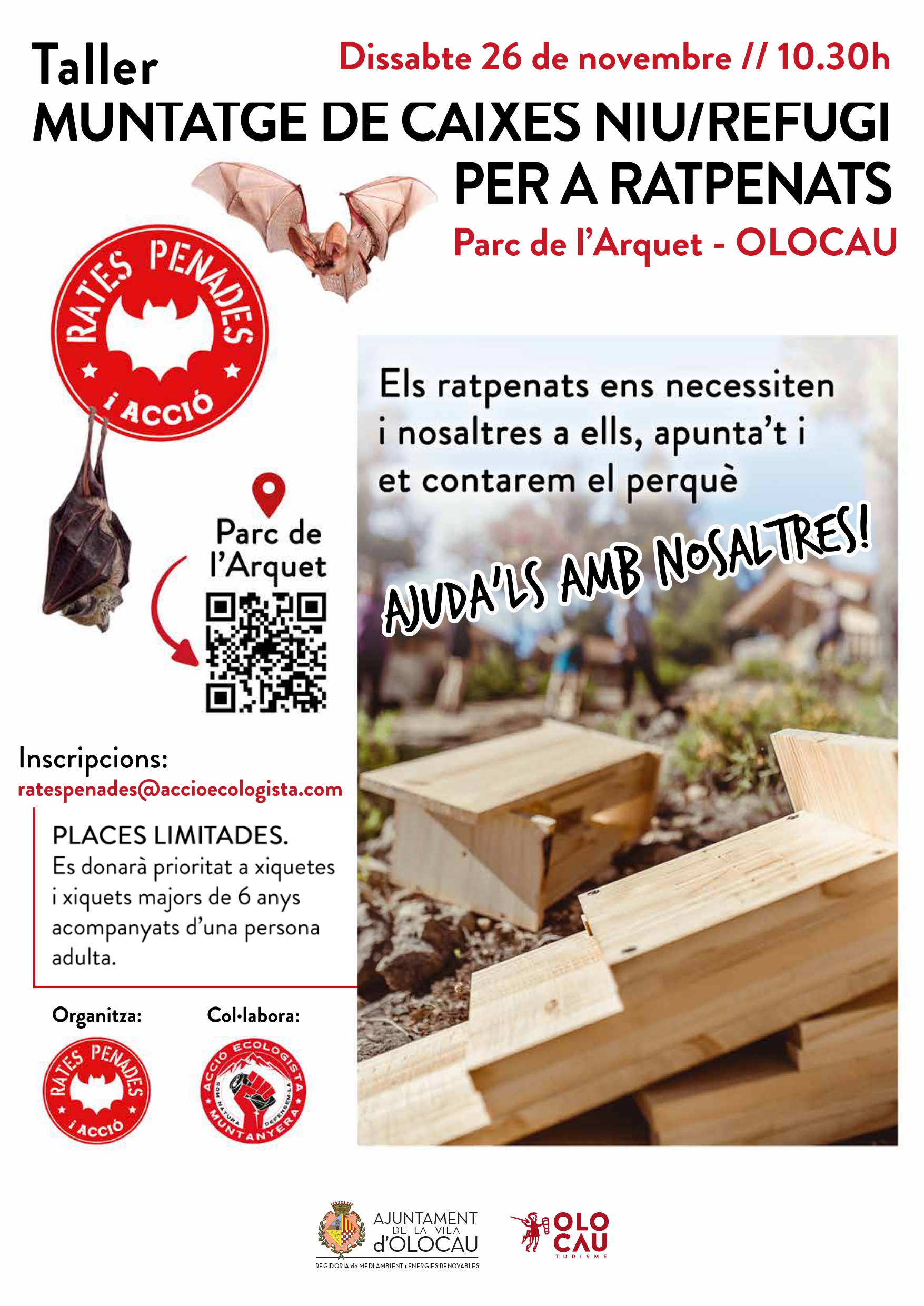 Cartel Taller de montaje de casas nido/refugio para murci&eacute;lagos Olocau