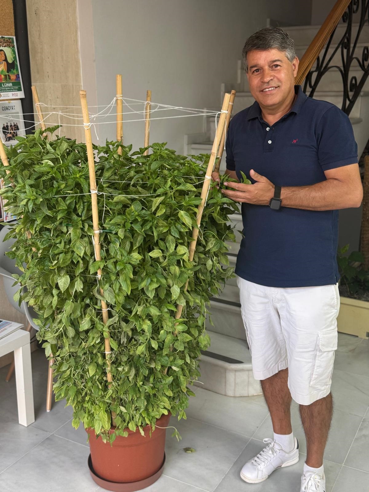 Regalo alf&aacute;bega B&eacute;tera Ayuntamiento Olocau 2025