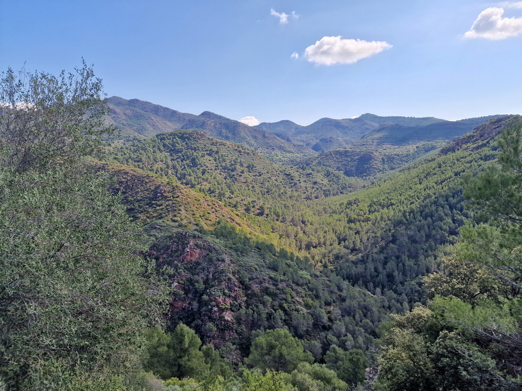 Sierra Calderona Olocau