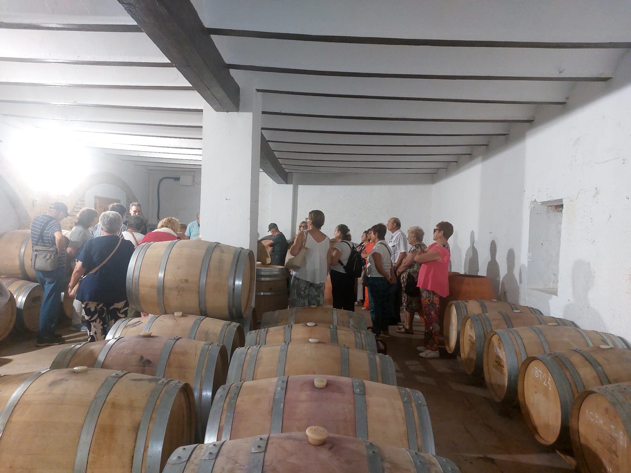 Excursión a la bodega Vera de Estenas Asociación Jubilados Olocau 2