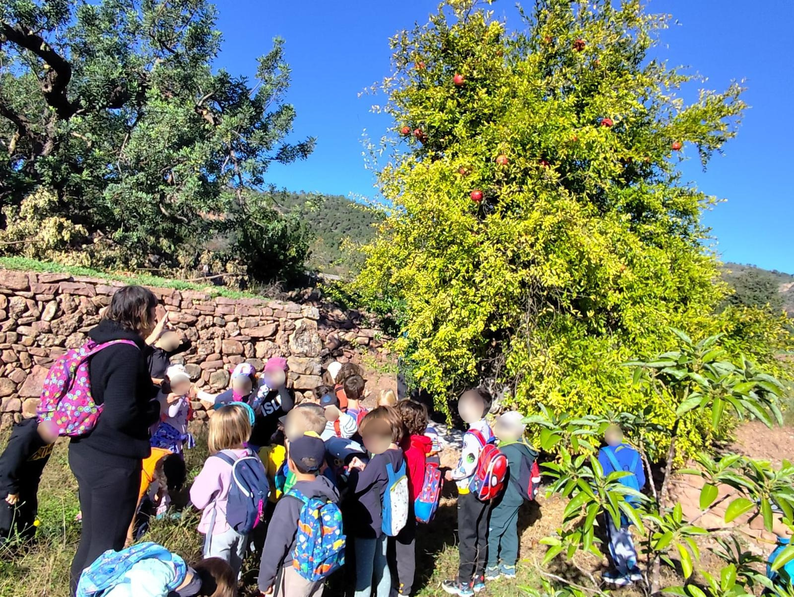 APLEC CRA Alt Carraixet - Col&middot;legi Mestre Ferran Zurriaga Olocau 2