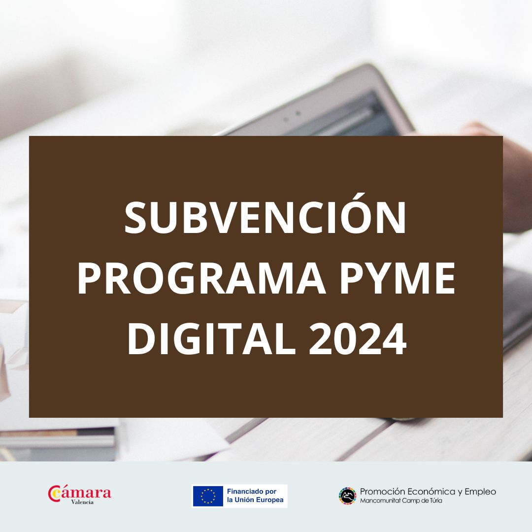 Programa PYME DIGITAL C&aacute;mara de Comercio de Valencia