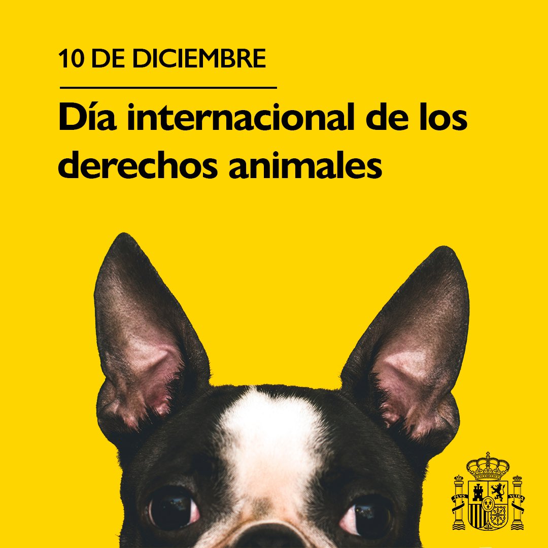 Dia Internacional dels Drets Animals