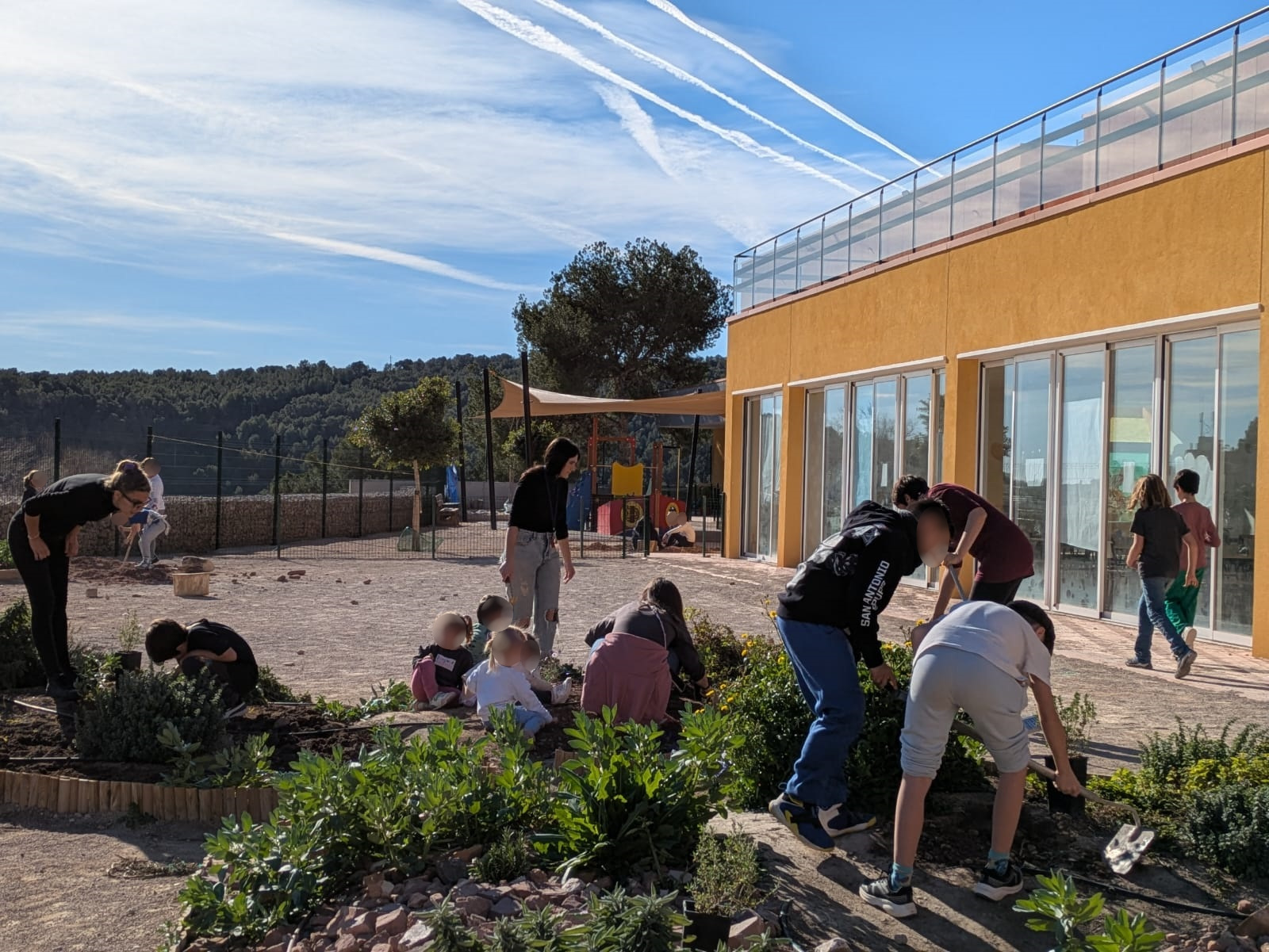 Plantaci&oacute;n &aacute;rboles y plantas CRA Alt Carraixet - Col&middot;legi Mestre Ferran Zurriaga Olocau enero 2025 2