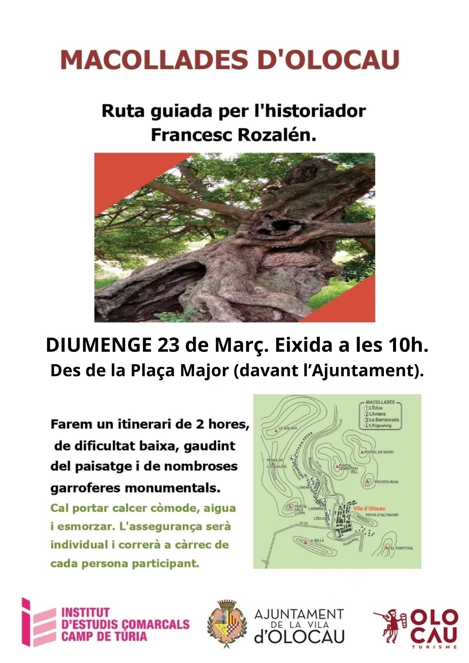 Cartel Ruta de les Macollades Olocau