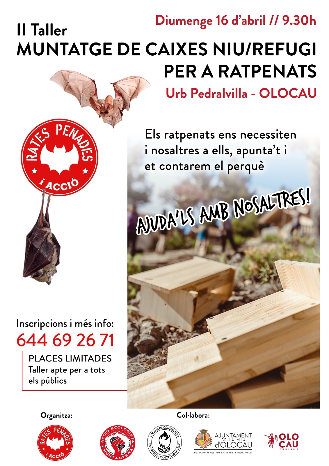 Cartel Segundo Taller de montaje de cajas nido/refugio para murci&eacute;lagos Olocau