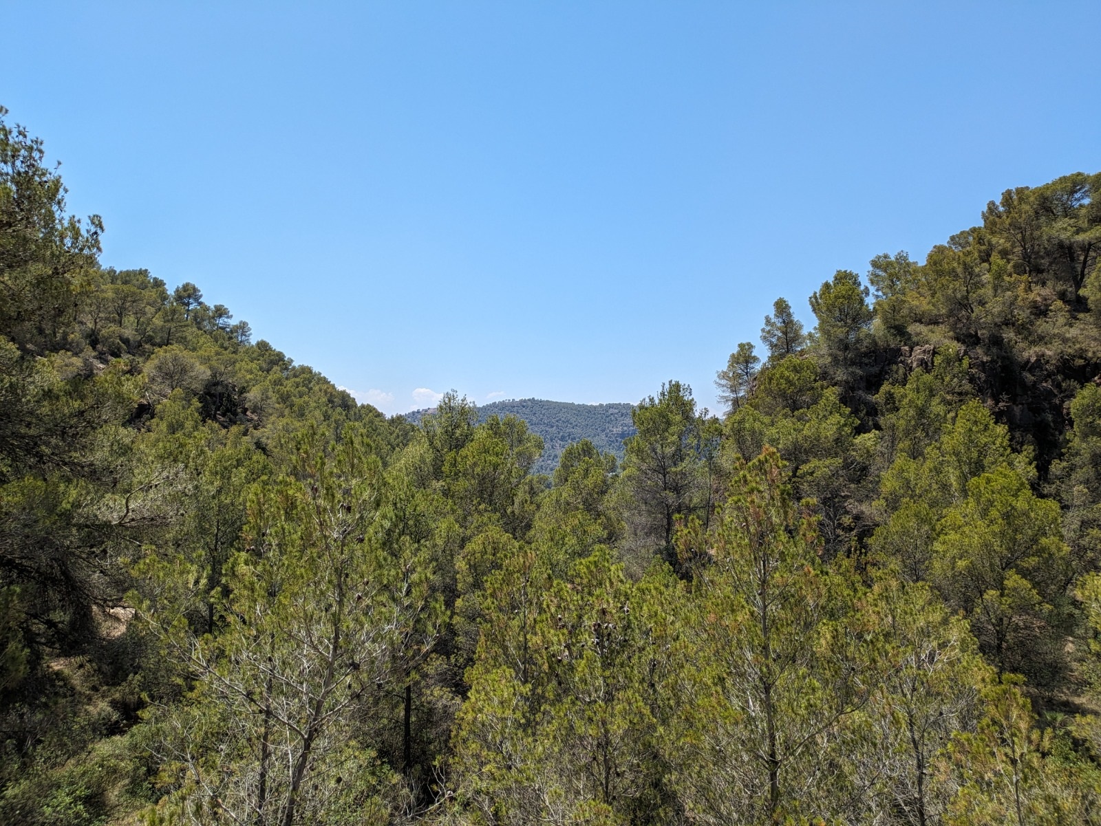 D&iacute;a Monta&ntilde;as Olocau 2