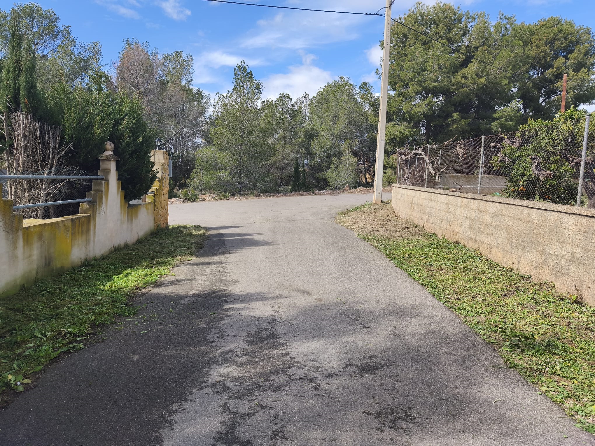 Limpieza caminos Olocau