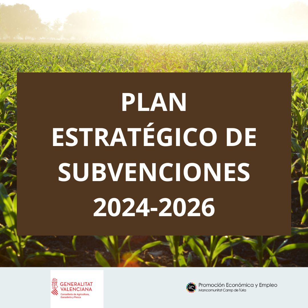 Plan estrat&eacute;gico de subvenciones 2024-2026 de la Conselleria de Agricultura, Ganader&iacute;a y Pesca