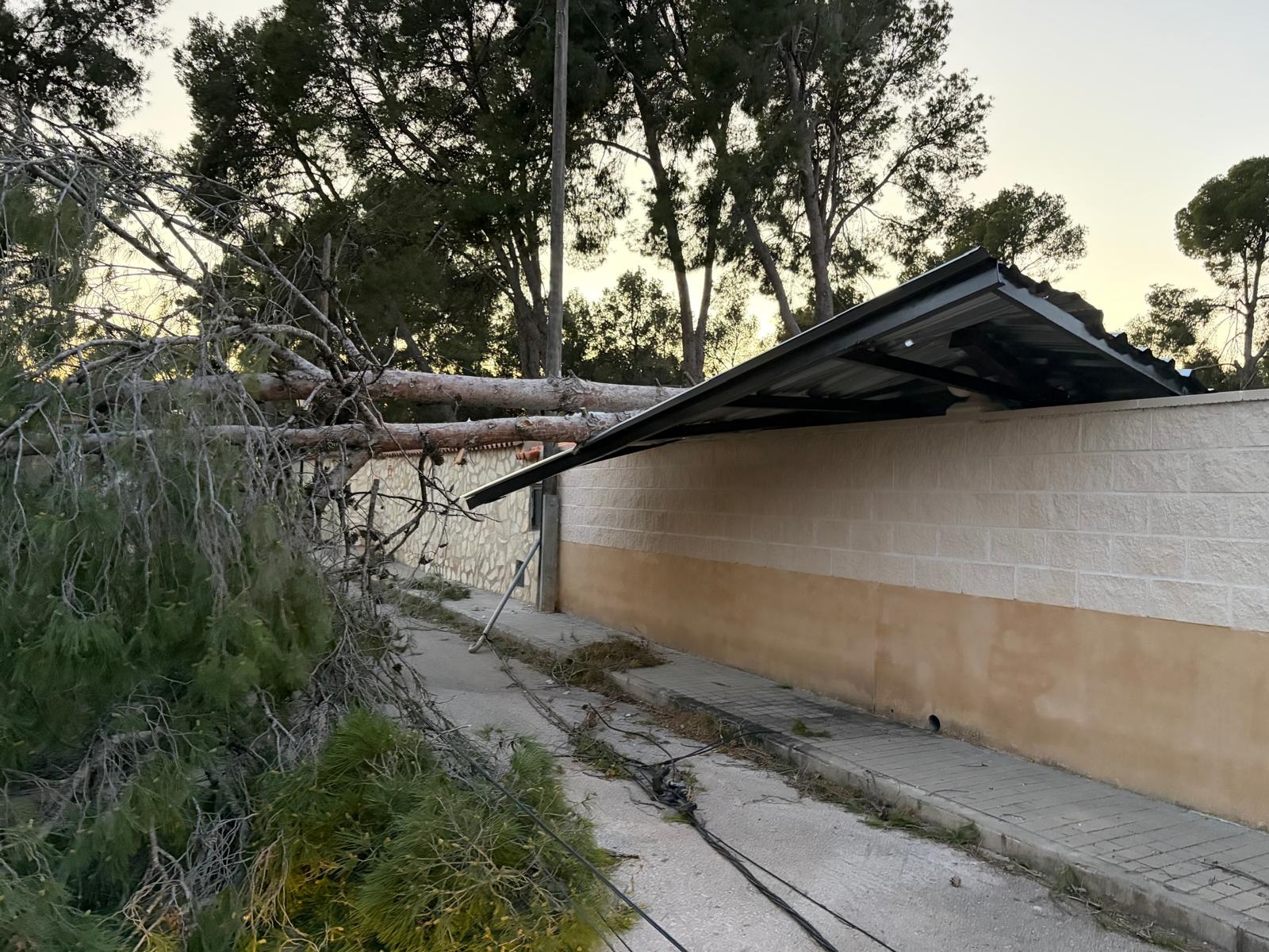 Incidencias viento Olocau 2