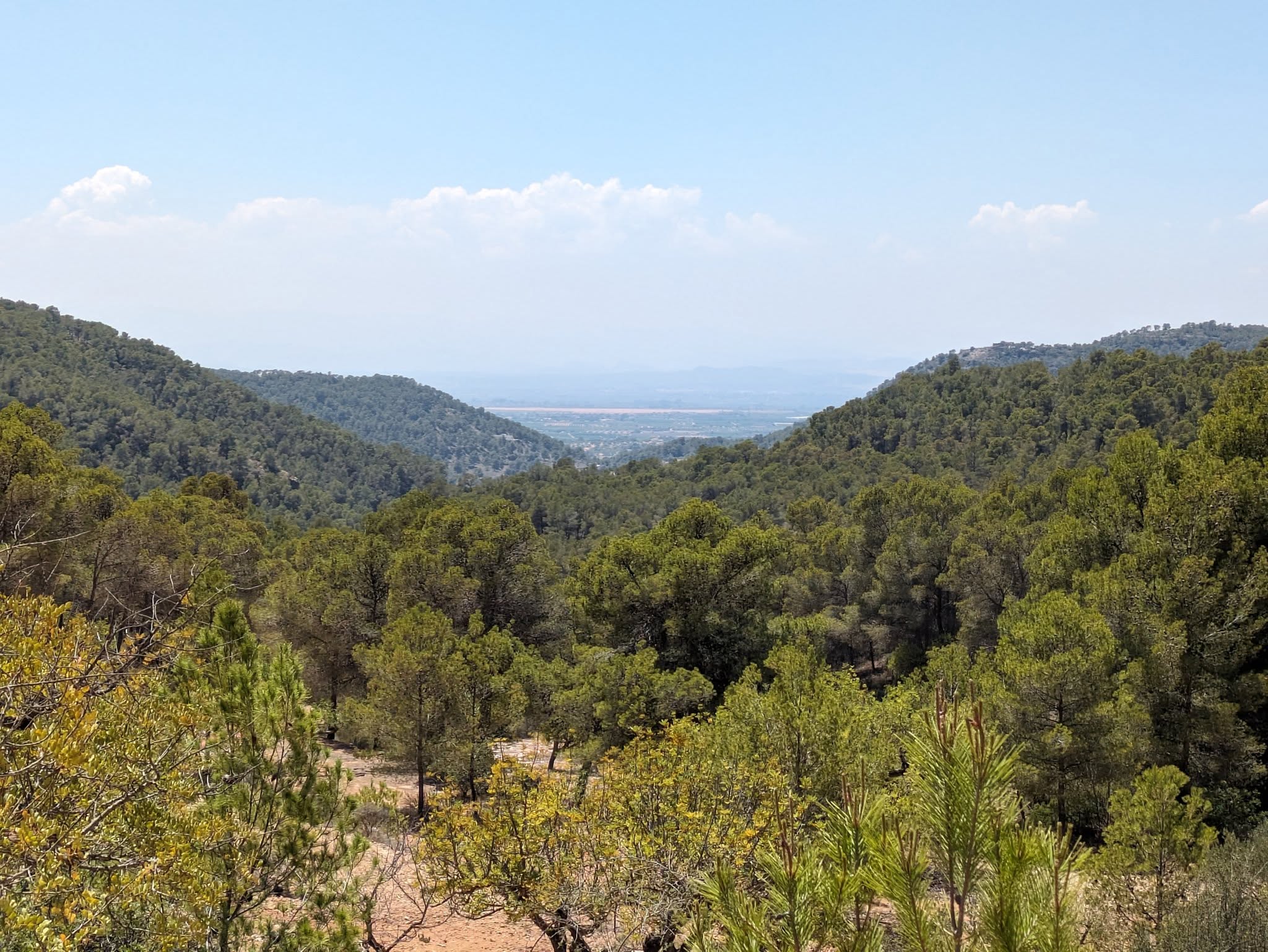 D&iacute;a Mundial Protecci&oacute;n Naturaleza Olocau 1