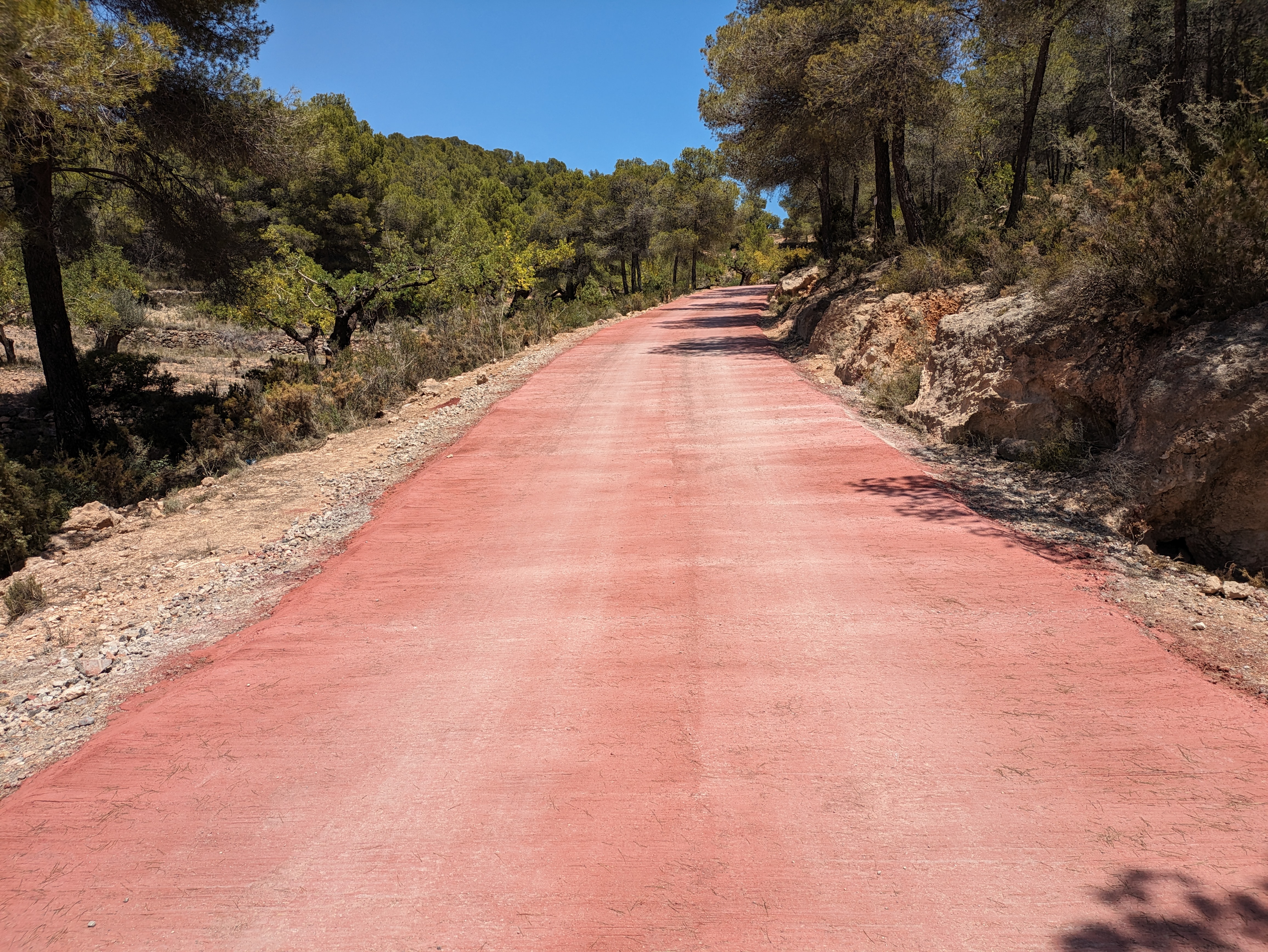 Camino Sentig Olocau