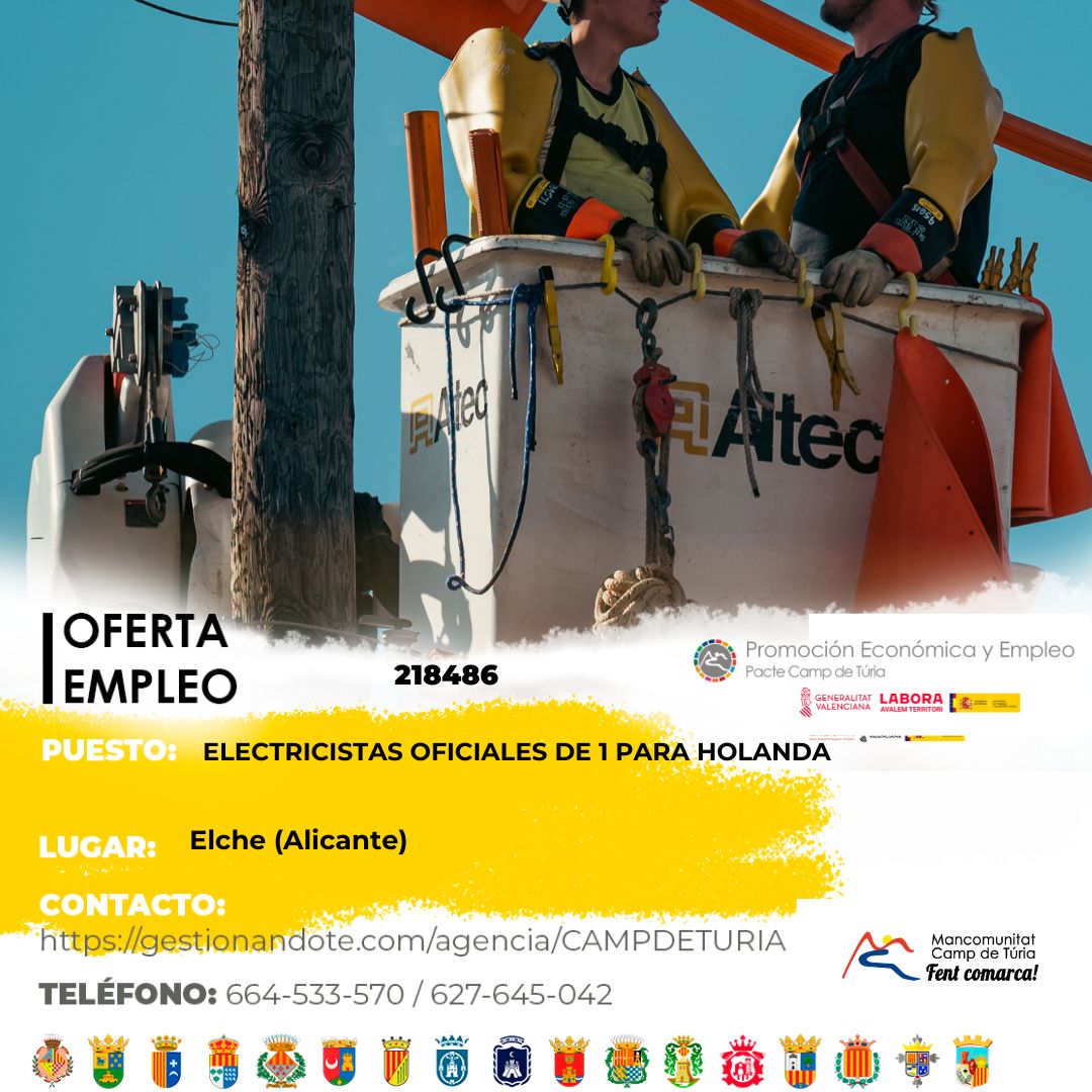 Oferta de empleo - Electricistas oficiales de 1&ordf; para Holanda en Elche