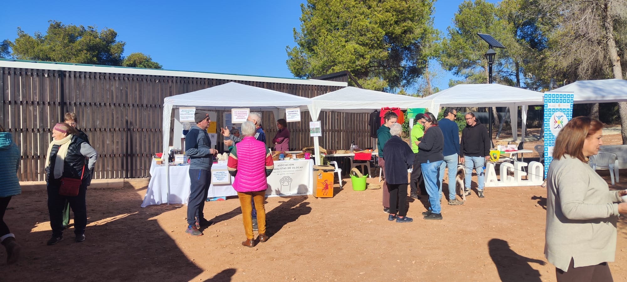 Mostra ACEO_Actiu Olocau 1