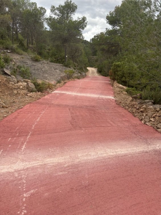 Cam&iacute; Sentig Olocau