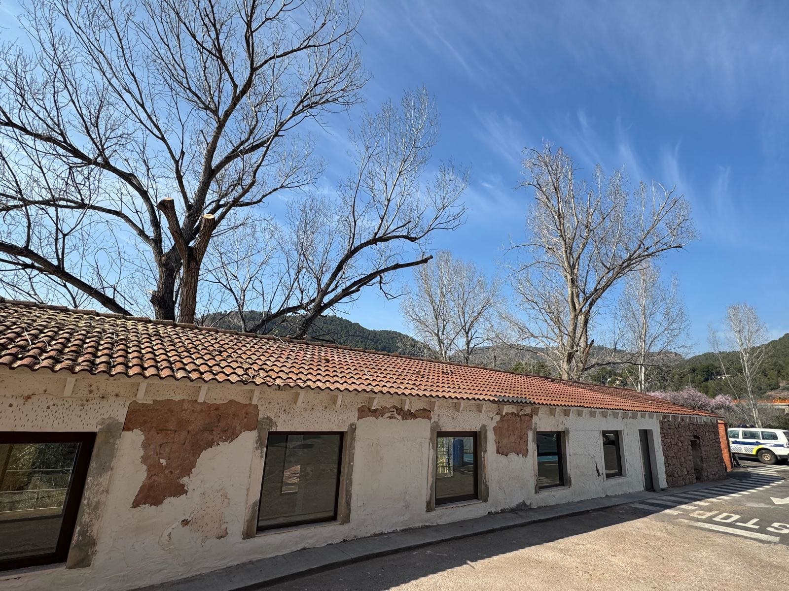 Poda Lavadero Olocau 1