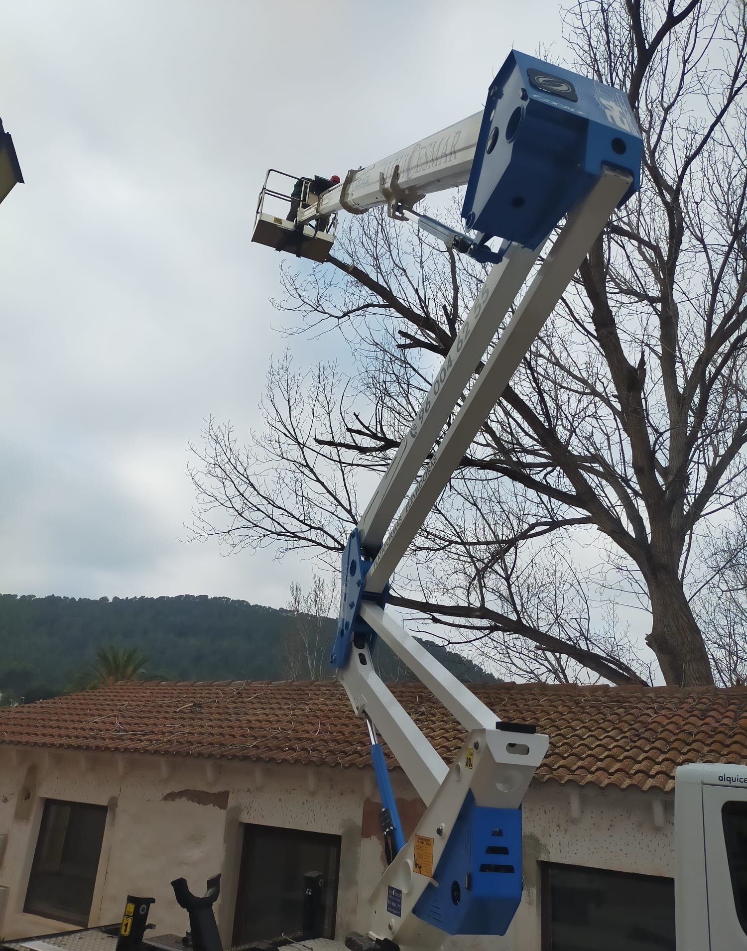 Poda Lavadero Olocau 3