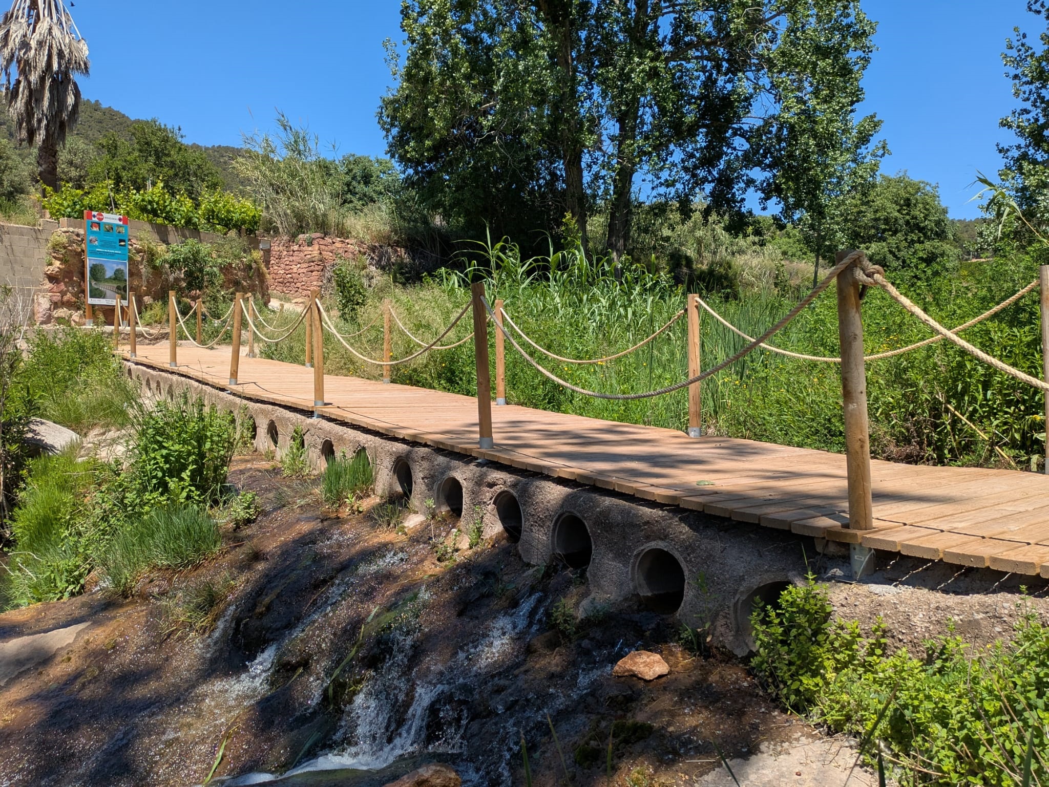 Ruta dels llidoners Olocau 2