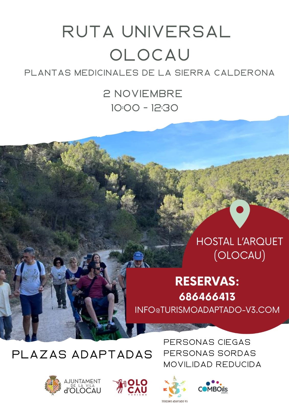 Cartel Ruta Universal de Olocau Plantas medicinales de la Sierra Calderona