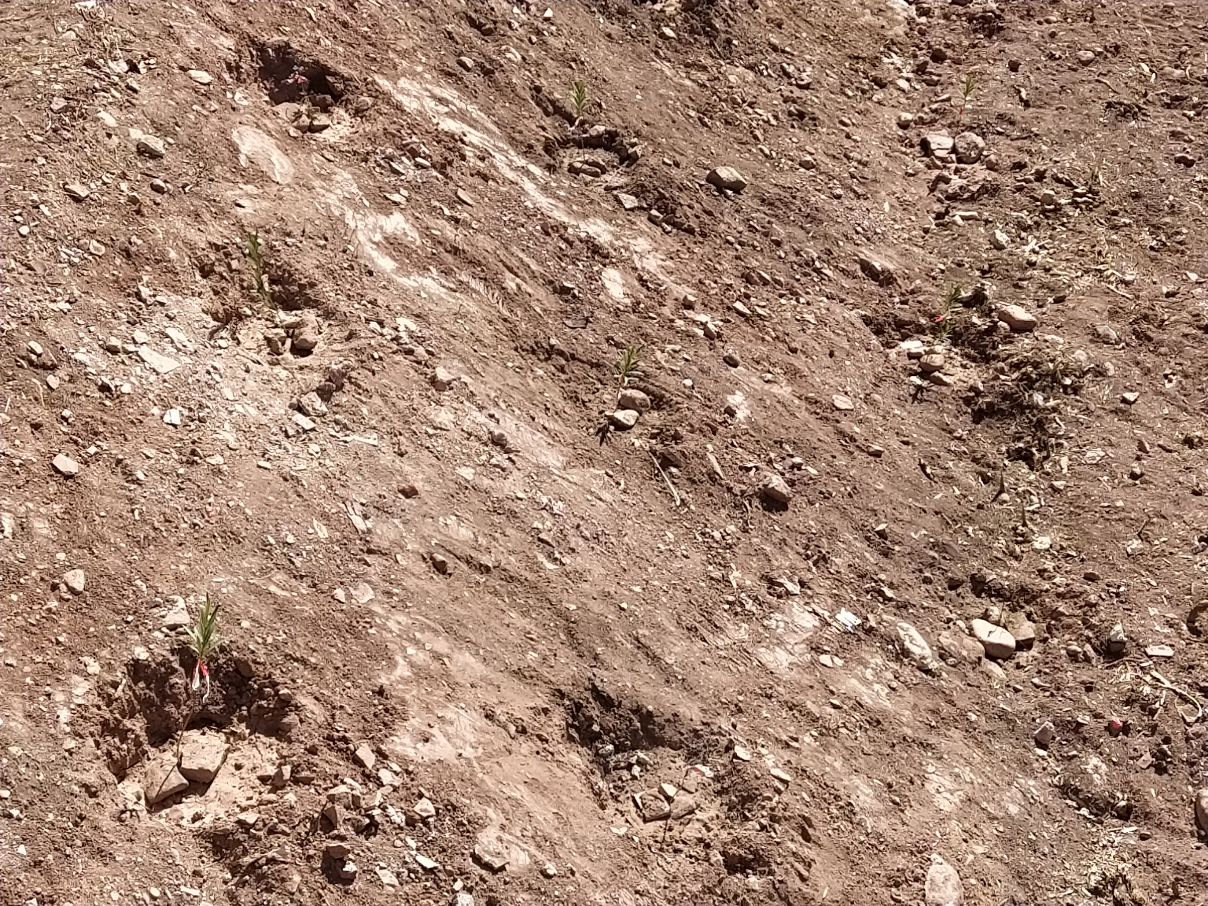 Barranco Olocau febrero 2024 - 2