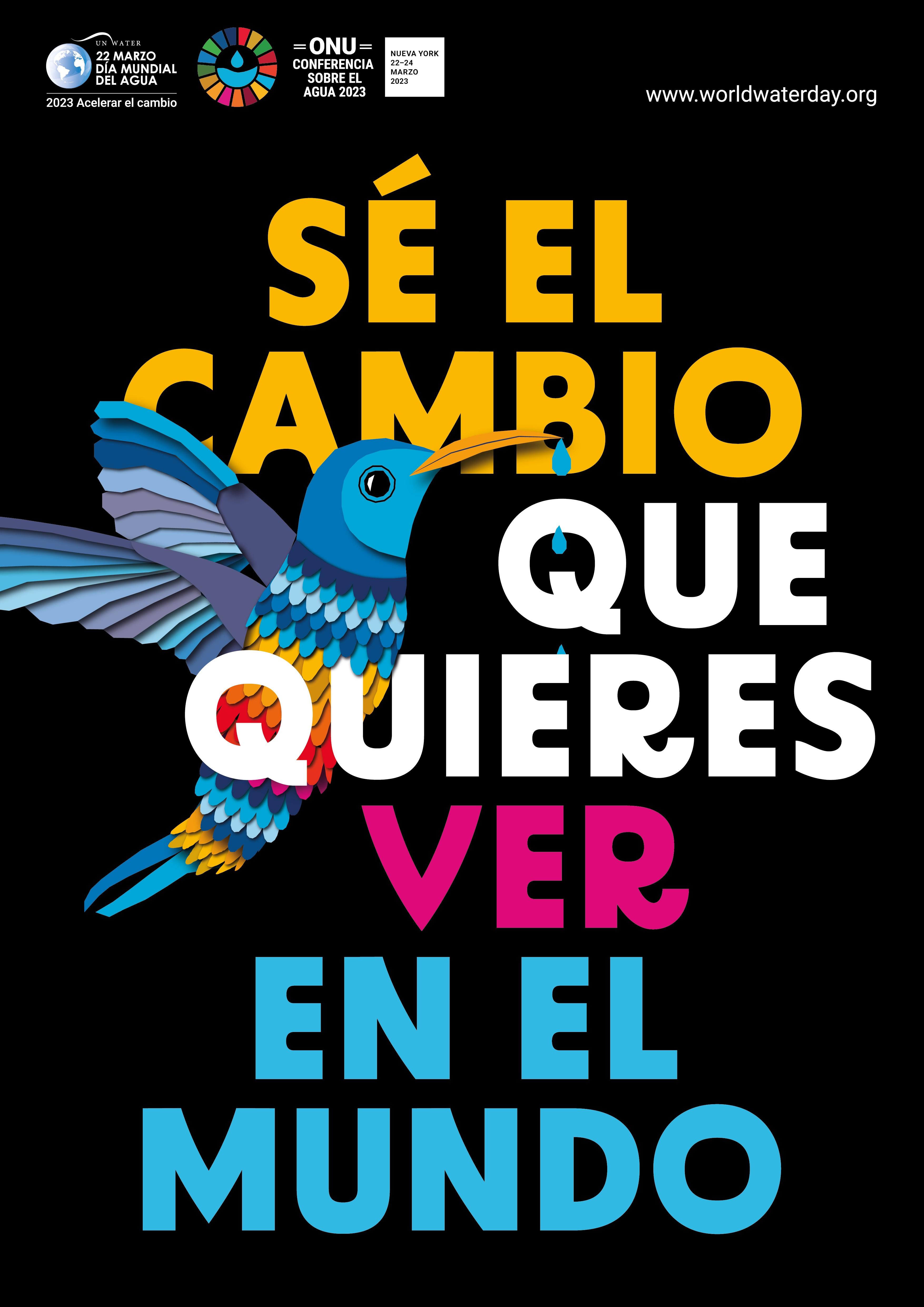 D&iacute;a Mundial del Agua