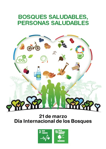 D&iacute;a Internacional de los Bosques