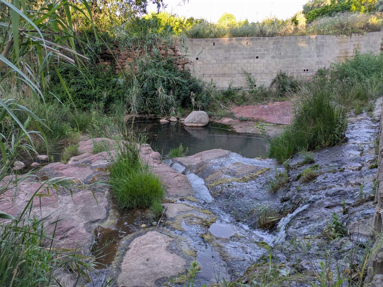 Dia Internacional de la Biodiversitat 2