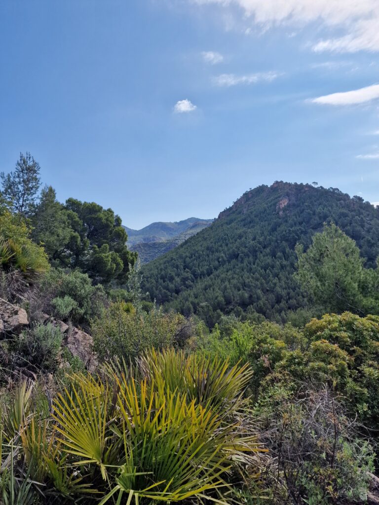 Dia Europeu dels Parcs Naturals Olocau