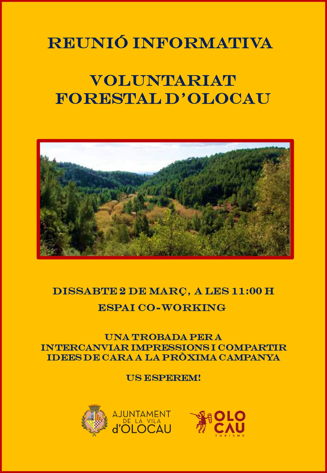 Cartel reunión informativa Voluntariado Forestal Olocau