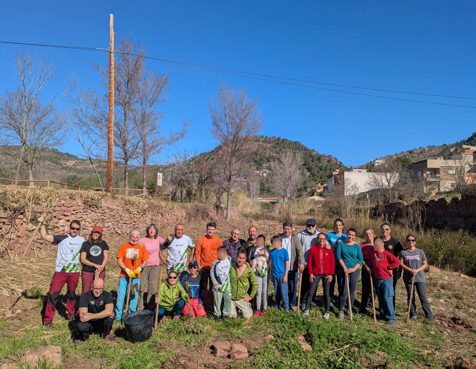 Repoblació forestal CMAC PN Serra Calderona marge dret Barranc Olocau 1