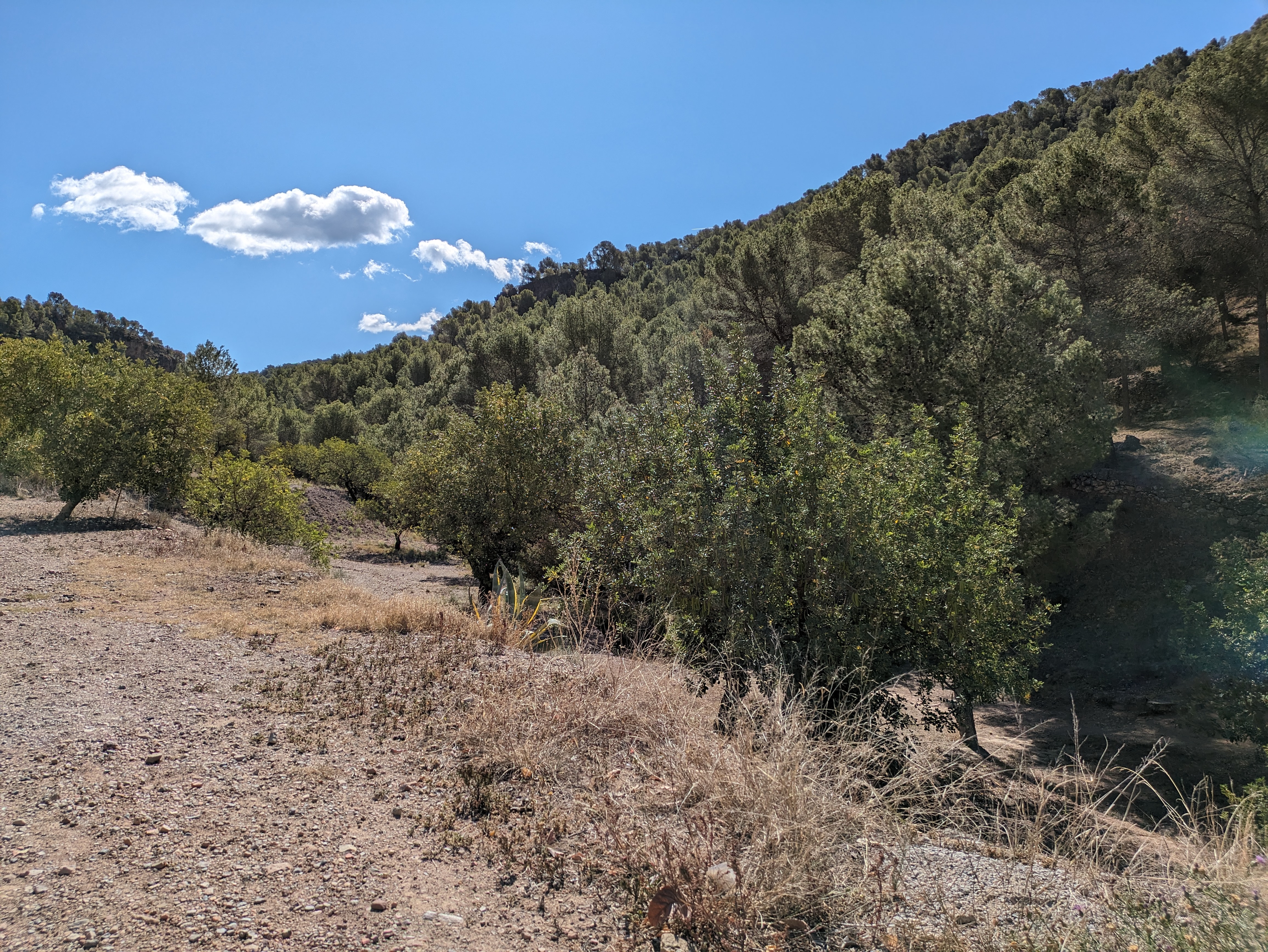 Foto monta&ntilde;a Olocau