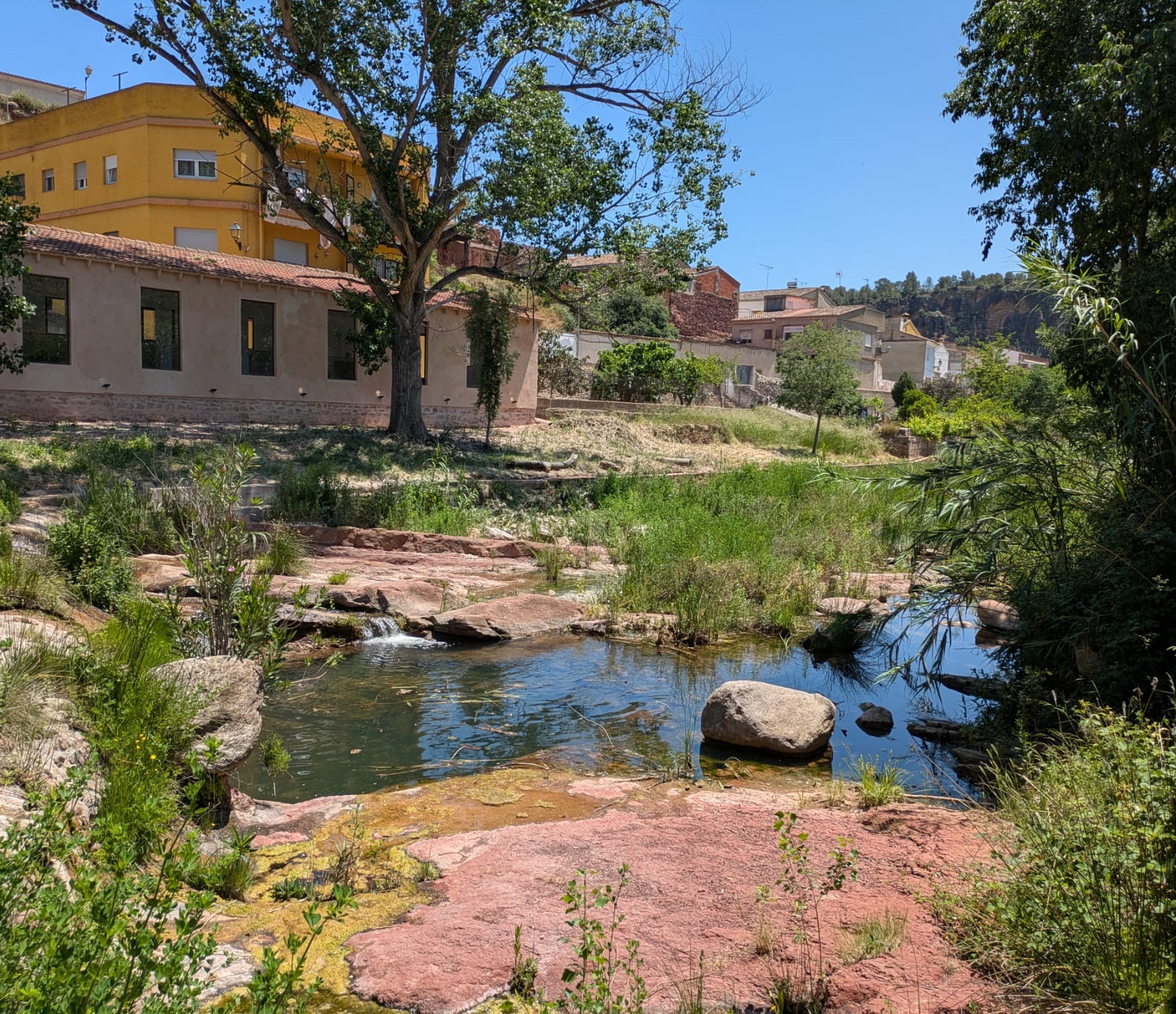 Día Internacional Biodiversidad 2