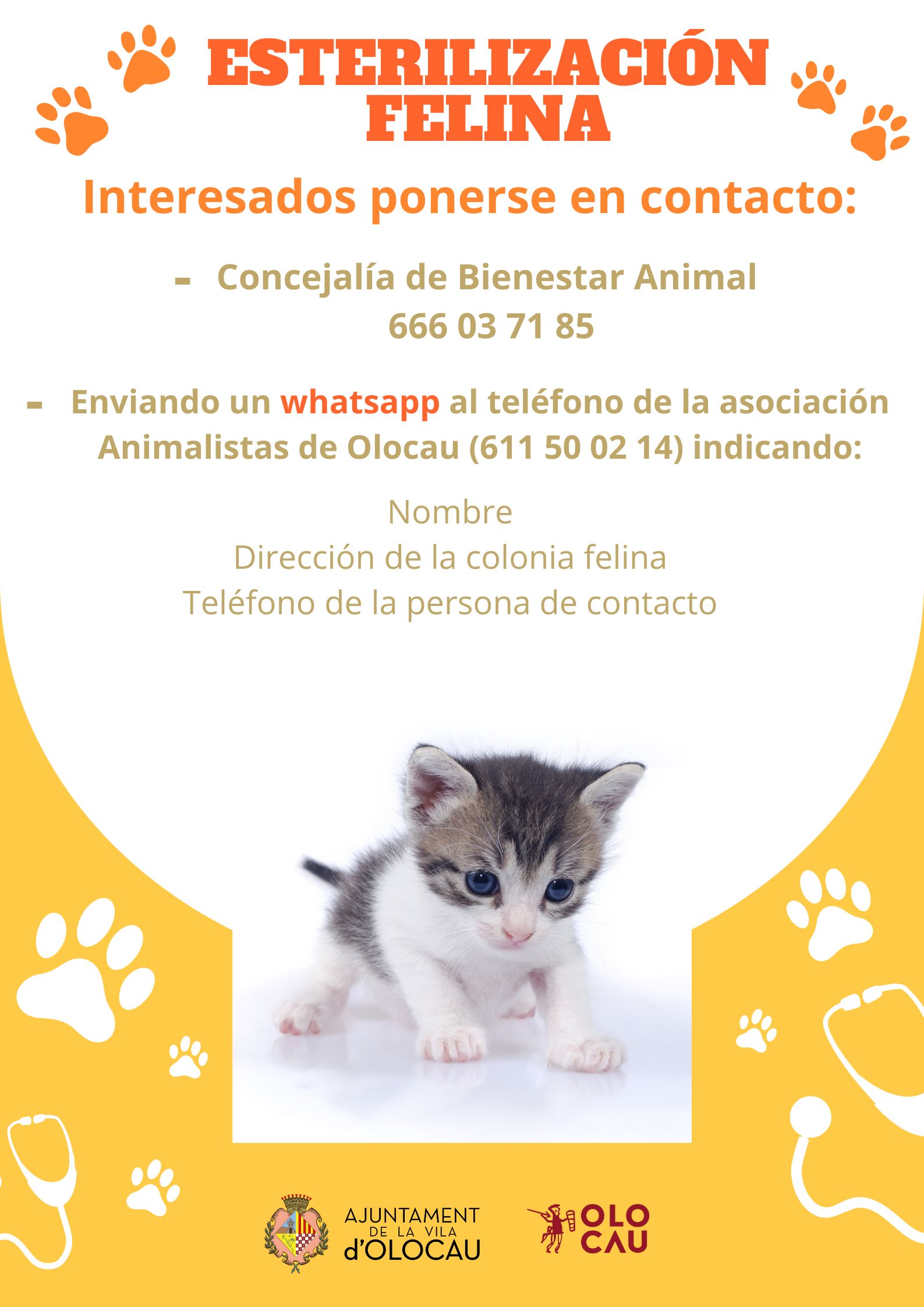 Cartel esterilización felina Olocau