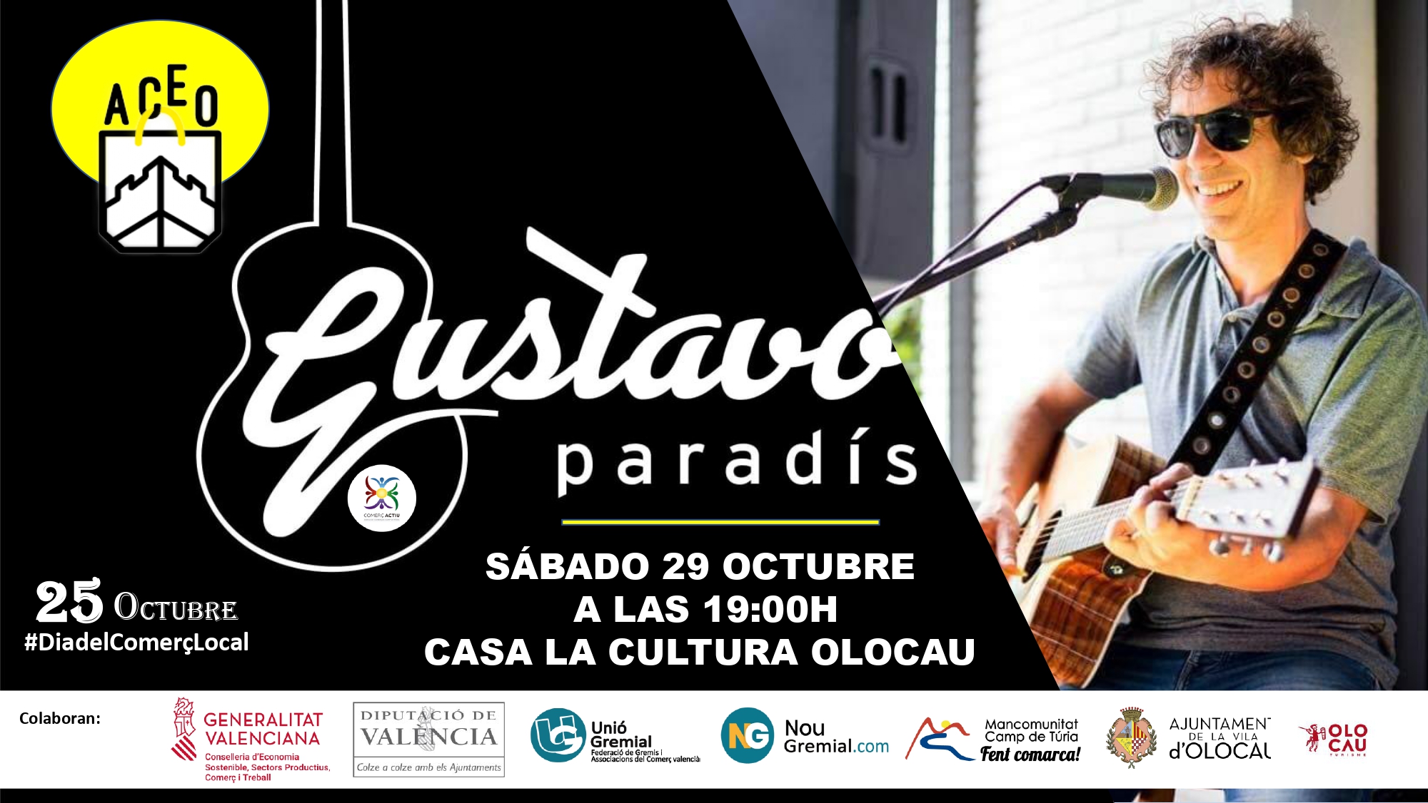 Cartel concierto Gustavo Parad&iacute;s Olocau