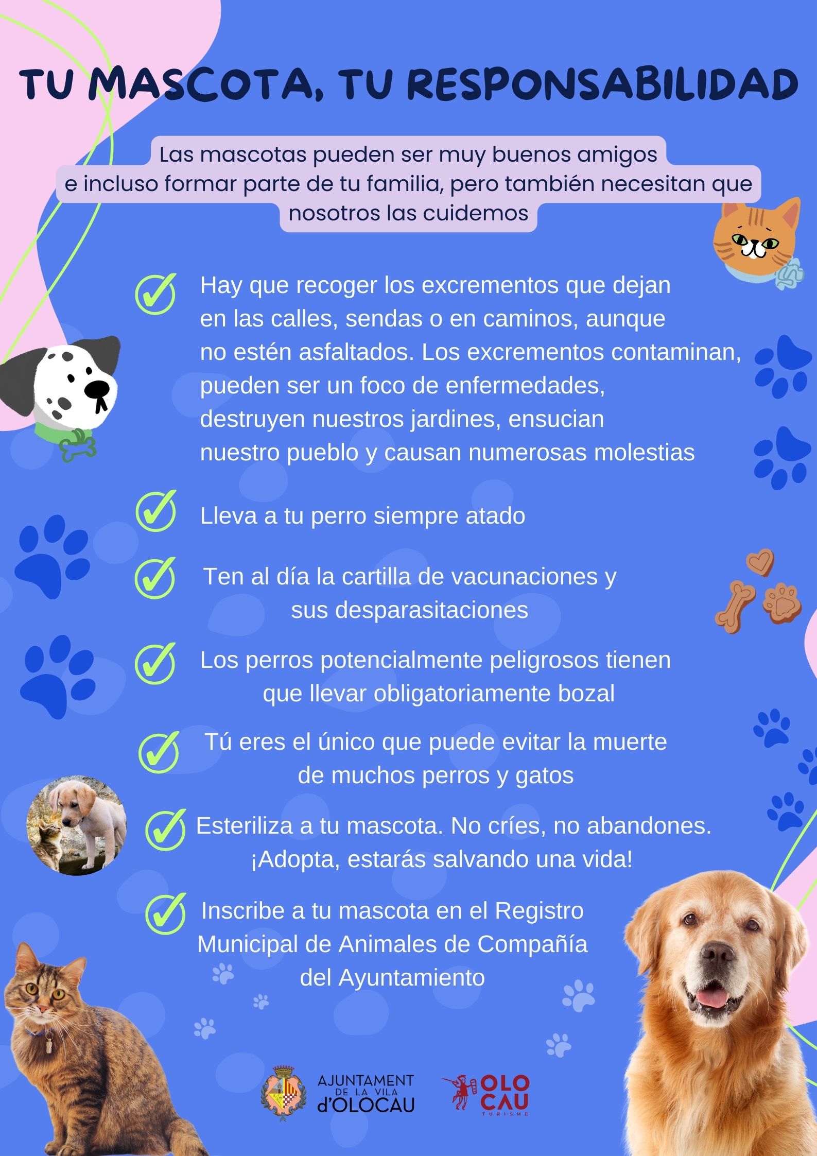 Cartel mascotas Olocau