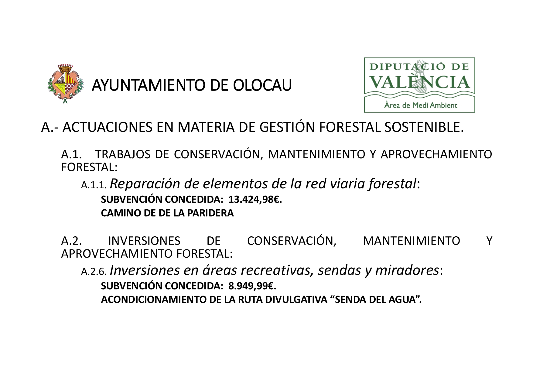 Reacciona 2023 Olocau 2
