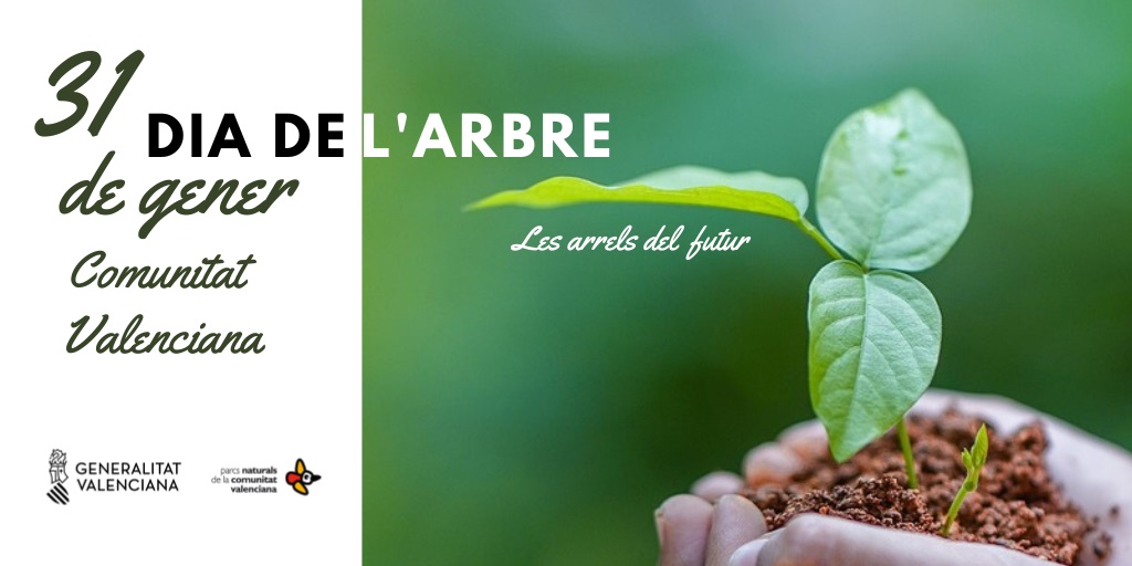 D&iacute;a del &Aacute;rbol de la Comunidad Valenciana 1