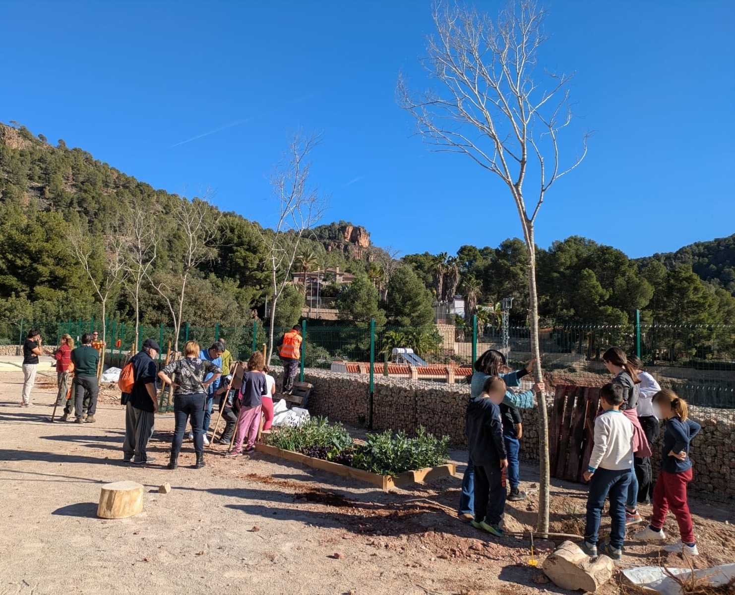 D&iacute;a del &Aacute;rbol de la Comunidad Valenciana 3