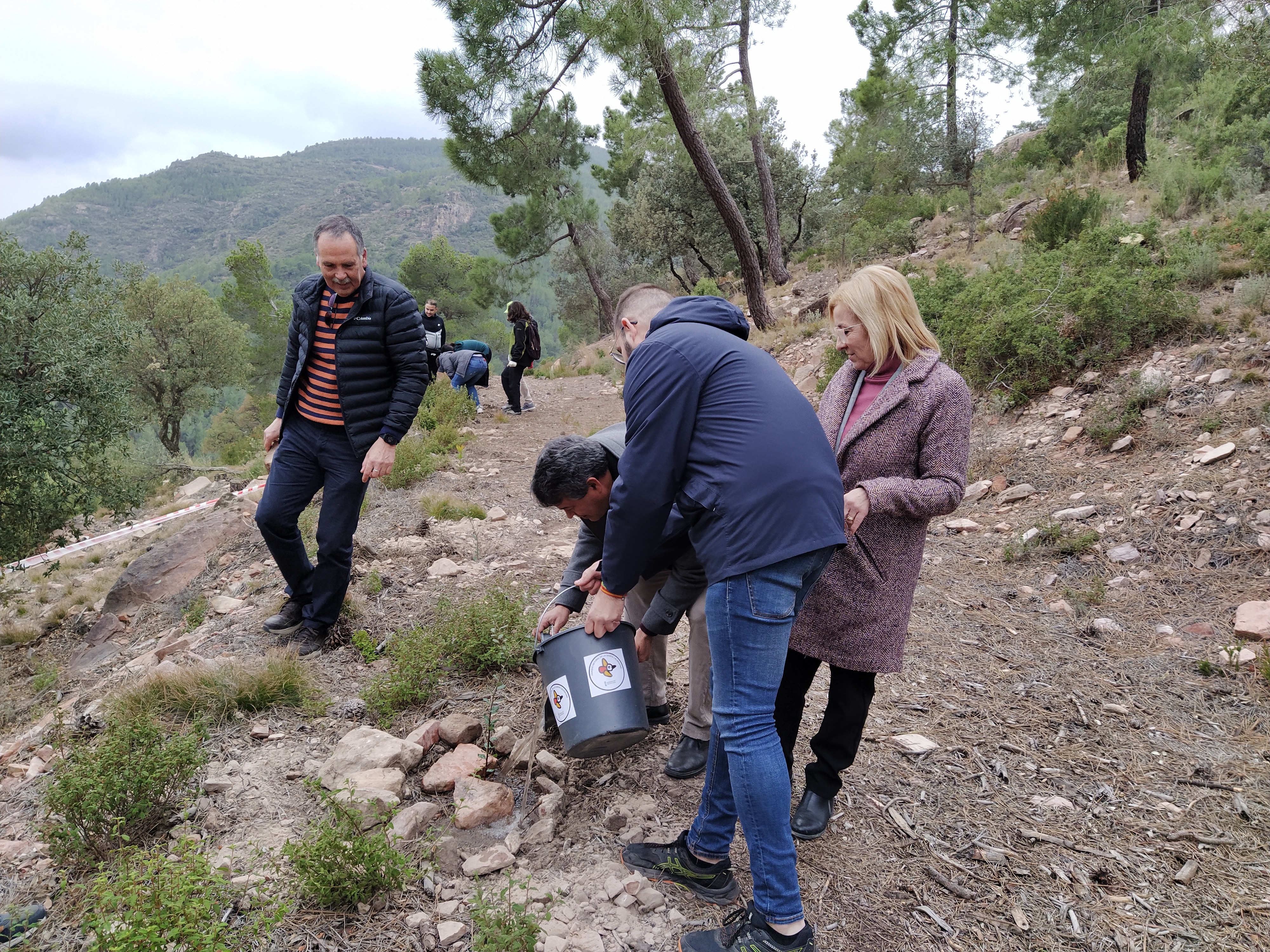 Foto D&iacute;a del &Aacute;rbol G&aacute;tova 2024 - 2