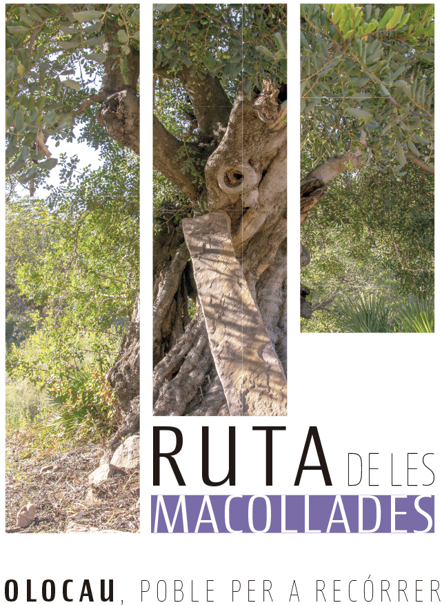 Ruta Macollades