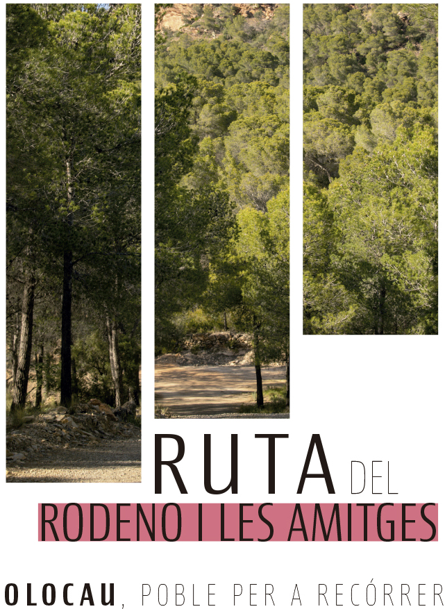 Ruta de Rodeno i Amitges