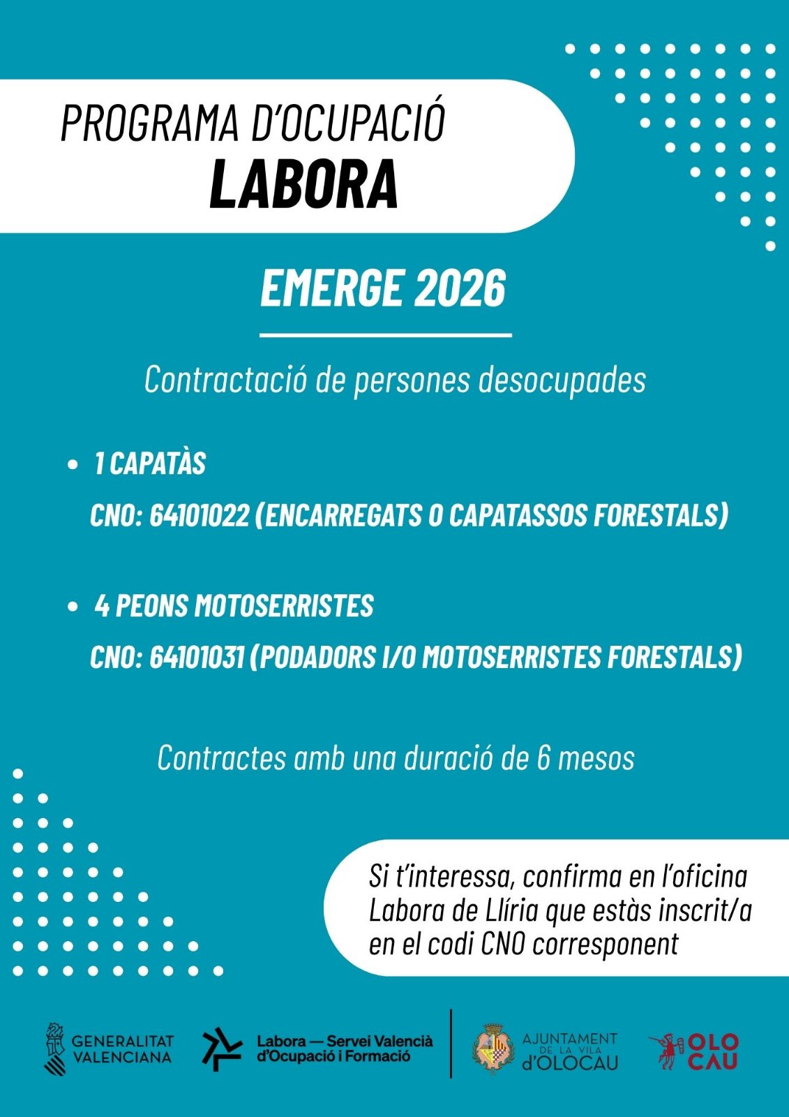 El Ayuntamiento informa